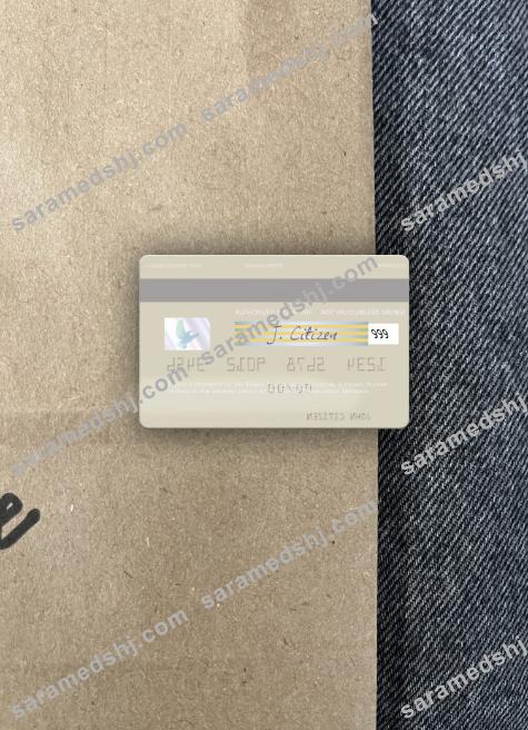 Moldova Banca Transilvania visa debit card photolook back